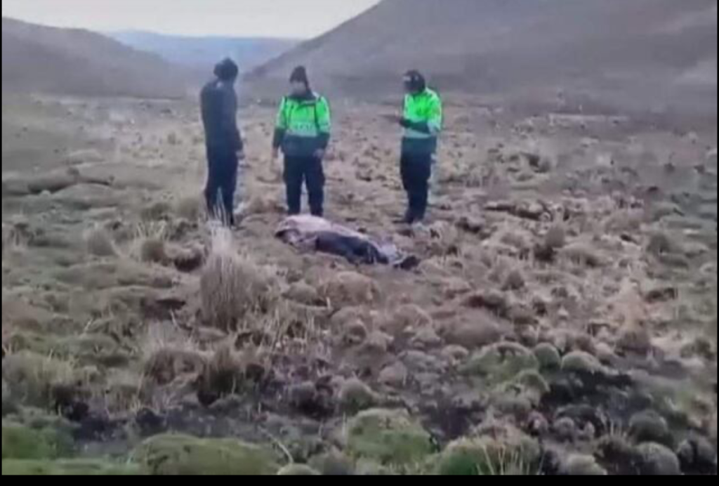 farmer died in Puno after being struck by a lightning.
