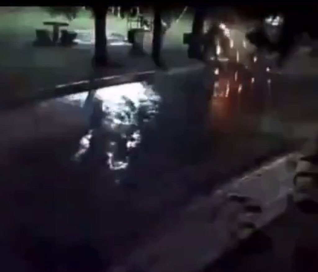 Argentinian survives lightning strike after hiding under a tree