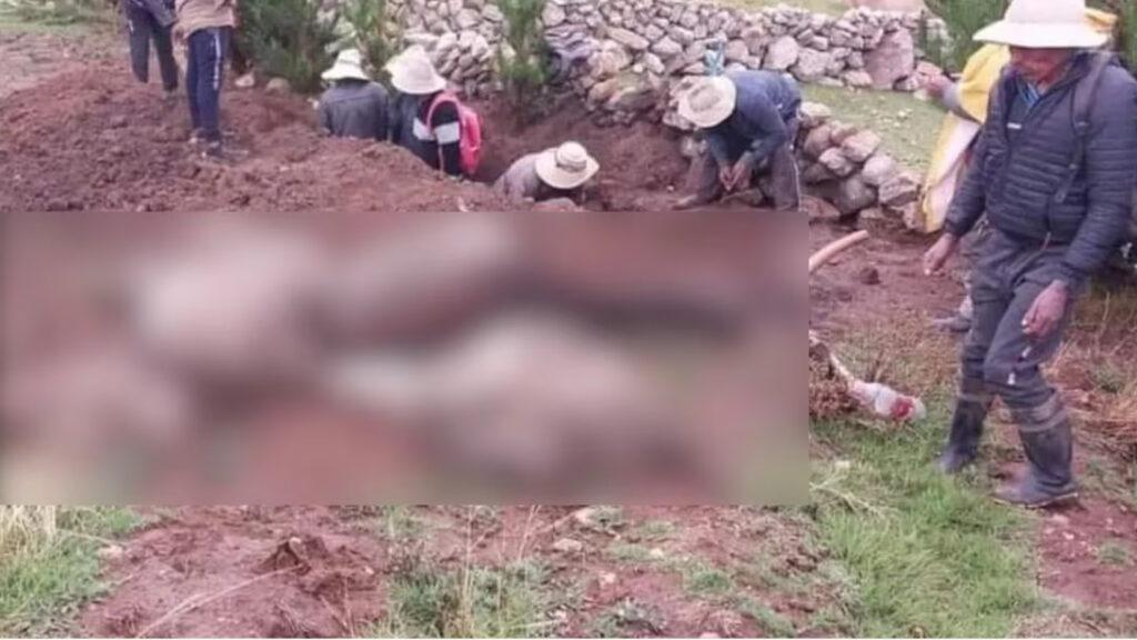 Lightning killed a couple, sheep and cat in Cusco